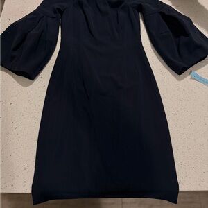 Chic Black Long Sleeve Dress